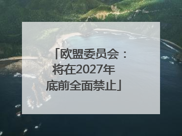 欧盟委员会：将在2027年底前全面禁止