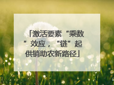 激活要素“乘数”效应，“链”起供销助农新路径