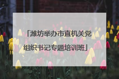 潍坊举办市直机关党组织书记专题培训班