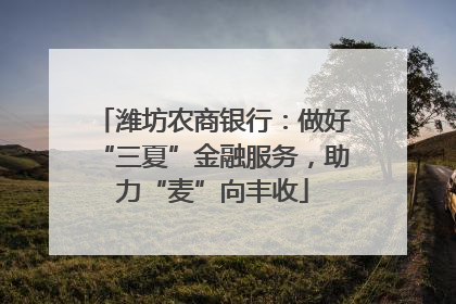 潍坊农商银行：做好“三夏”金融服务，助力“麦”向丰收