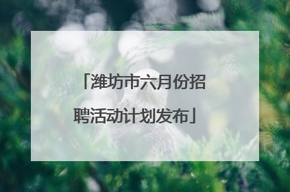 潍坊市六月份招聘活动计划发布