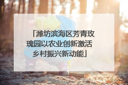 潍坊滨海区芳青玫瑰园以农业创新激活乡村振兴新动能