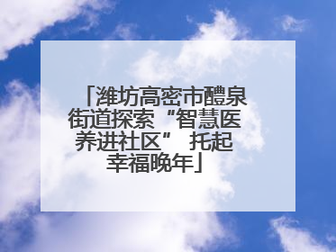 潍坊高密市醴泉街道探索“智慧医养进社区” 托起幸福晚年