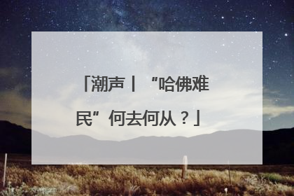 潮声丨“哈佛难民”何去何从？
