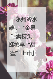 永州冷水滩：“金果”满枝头 蜂糖李“甜蜜”上市