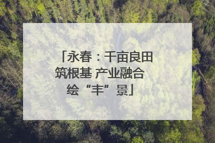永春：千亩良田筑根基 产业融合绘“丰”景