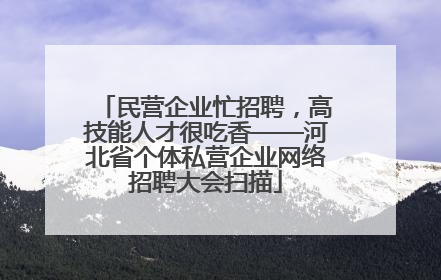 民营企业忙招聘，高技能人才很吃香——河北省个体私营企业网络招聘大会扫描