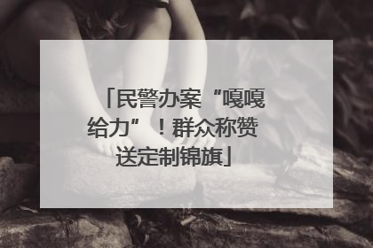 民警办案“嘎嘎给力”！群众称赞送定制锦旗
