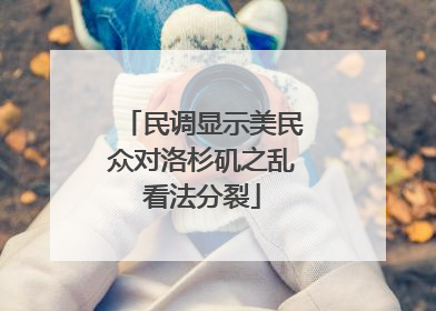 民调显示美民众对洛杉矶之乱看法分裂