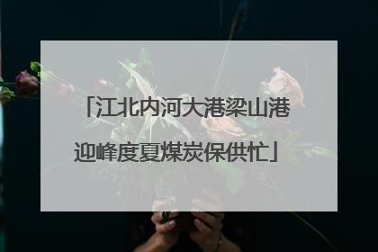 江北内河大港梁山港迎峰度夏煤炭保供忙