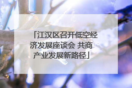 江汉区召开低空经济发展座谈会 共商产业发展新路径