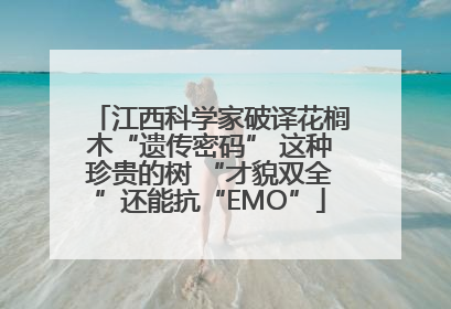 江西科学家破译花榈木“遗传密码” 这种珍贵的树 “才貌双全”还能抗“EMO”