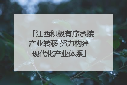 江西积极有序承接产业转移 努力构建现代化产业体系