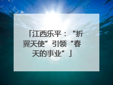 江西乐平：“折翼天使”引领“春天的事业”