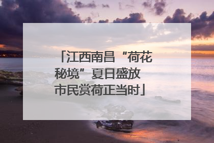 江西南昌“荷花秘境”夏日盛放 市民赏荷正当时