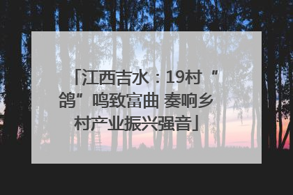 江西吉水：19村“鸽”鸣致富曲 奏响乡村产业振兴强音