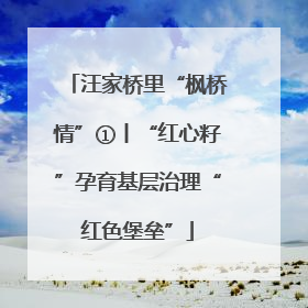汪家桥里“枫桥情”①丨“红心籽”孕育基层治理“红色堡垒”