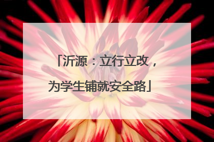 沂源：立行立改，为学生铺就安全路