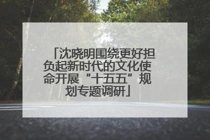 沈晓明围绕更好担负起新时代的文化使命开展“十五五”规划专题调研