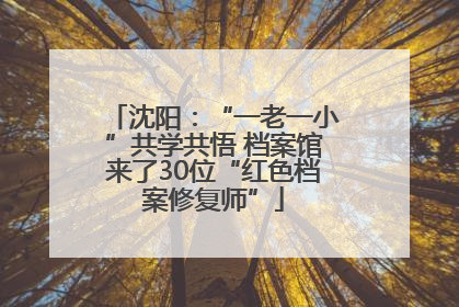 沈阳：“一老一小”共学共悟 档案馆来了30位“红色档案修复师”