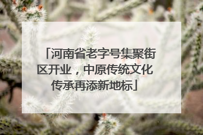 河南省老字号集聚街区开业，中原传统文化传承再添新地标
