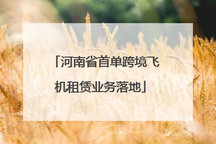 河南省首单跨境飞机租赁业务落地