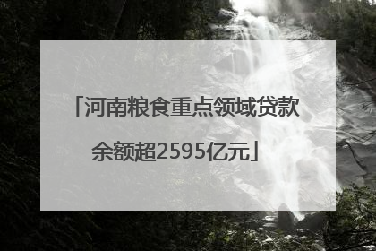 河南粮食重点领域贷款余额超2595亿元