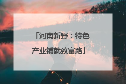 河南新野：特色产业铺就致富路