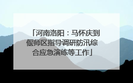河南洛阳：马怀庆到偃师区指导调研防汛综合应急演练等工作