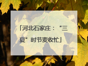 河北石家庄：“三夏”时节麦收忙