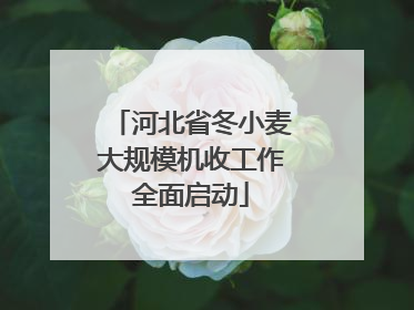 河北省冬小麦大规模机收工作全面启动