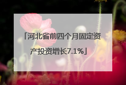 河北省前四个月固定资产投资增长7.1%