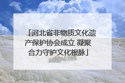 河北省非物质文化遗产保护协会成立 凝聚合力守护文化根脉