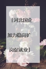 河北国企加力稳岗扩岗促就业