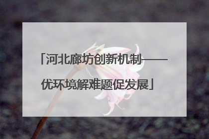 河北廊坊创新机制——优环境解难题促发展