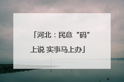 河北：民意“码”上说 实事马上办
