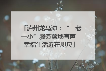 泸州龙马潭：“一老一小”服务落地有声 幸福生活近在咫尺