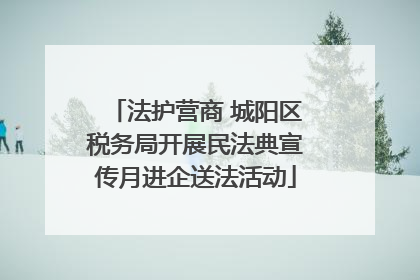 法护营商 城阳区税务局开展民法典宣传月进企送法活动