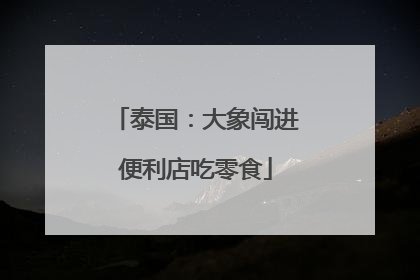 泰国：大象闯进便利店吃零食