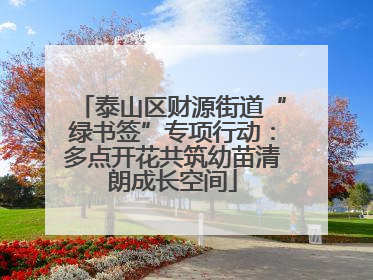 泰山区财源街道“绿书签”专项行动：多点开花共筑幼苗清朗成长空间