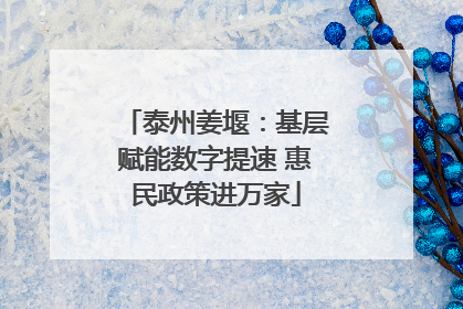 泰州姜堰：基层赋能数字提速 惠民政策进万家