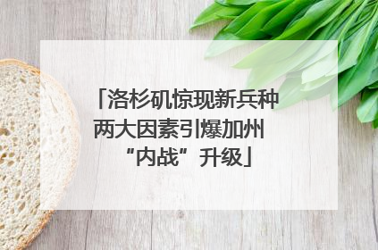 洛杉矶惊现新兵种 两大因素引爆加州“内战”升级