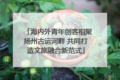 海内外青年创客相聚扬州古运河畔 共同打造文旅融合新范式