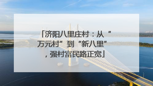 济阳八里庄村：从“万元村”到“新八里”，强村富民路正宽