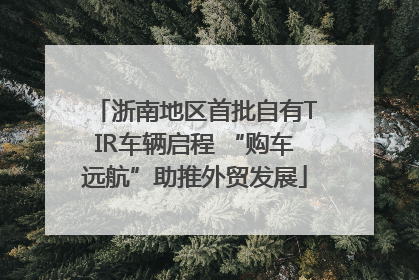 浙南地区首批自有TIR车辆启程 “购车远航”助推外贸发展