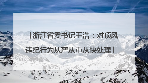 浙江省委书记王浩：对顶风违纪行为从严从重从快处理