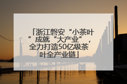 浙江磐安“小茶叶”成就“大产业”，全力打造50亿级茶叶全产业链