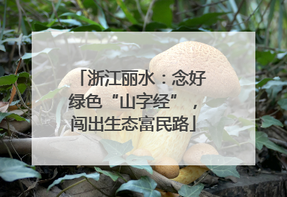 浙江丽水：念好绿色“山字经”，闯出生态富民路
