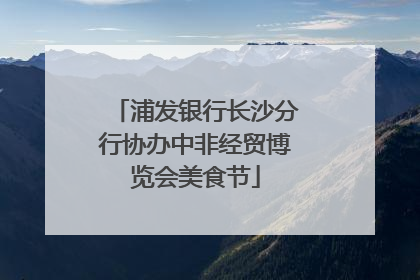 浦发银行长沙分行协办中非经贸博览会美食节