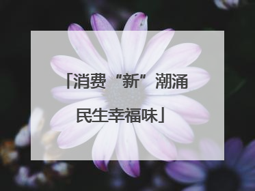 消费“新”潮涌 民生幸福味